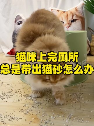 视频里的是3XL,90*60cm的。#猫砂垫