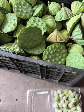 #优质农产品 #莲子 #味道好吃极了 #优质水果 #农产品