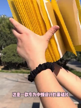 中蜂巢础片蜂巢脾高产蜜脾防止专用深房巢础中蜂蜂蜡土蜂养蜂巢皮练字帖