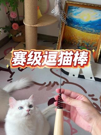 这么便宜的价格,就能买到小猫喜欢的玩具,真的很值!#逗猫棒 #赛级逗猫棒 #赛级 #逗猫棒的正确用法 #猫玩具