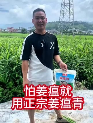 #生姜种植 怕姜瘟,就用正宗姜瘟青,可以叶喷,灌根,一套打十桶水#种植小技巧 #生姜的种植方法 #增产增收才是硬道理 #生姜种植技术分享