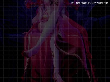 只敢躲在被窝看的经典后宫漫剧 #国漫 #漫剧 #动漫 #男生必看 #漫剧推荐