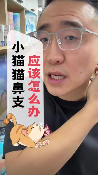 小猫猫鼻支怎么办#养猫经验分享 #养猫新手入门 #宠物健康管理 #养猫那些事 #宠物医疗常识