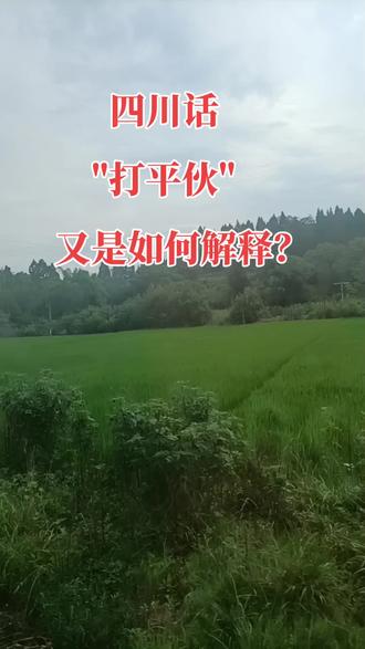 四川方言博大精深#四川方言 #一本正经飚方言 #搞笑