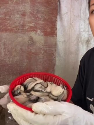 顺丰包邮汫洲新鲜牡蛎生蚝鲜活生蚝牡蛎广东生蚝肉批发去壳天然#好物推荐🔥 #海鲜美食 #鲜活生蚝