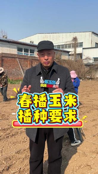 春播玉米播种要求揭秘,温度是关键 #玉米 #春播玉米 #三农 #农业 #怀玉51