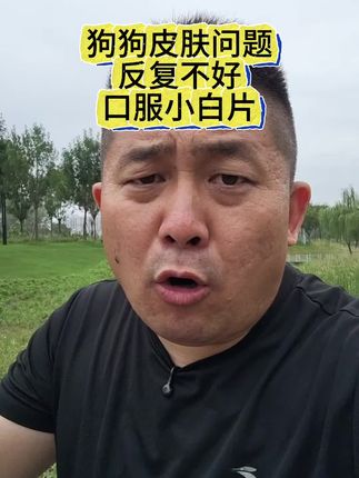 宠物皮肤问题口服小白片#宠物