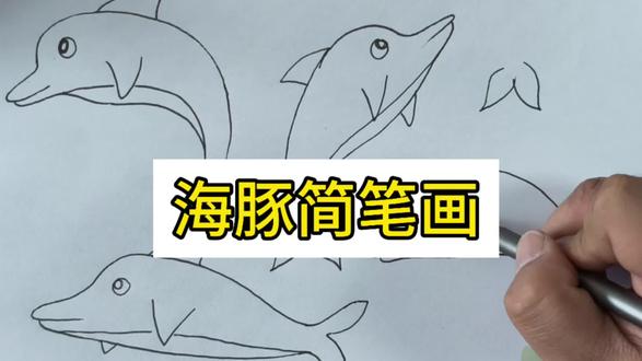 海豚简笔画 海豚简笔画#创意简笔画 #一学就会的简笔画 #零基础学画画 #简笔画 #跟着抖音学画画