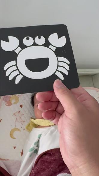 正确给宝宝看黑白卡✅新手爸妈必学‼️ 宝宝出生10-15天就可以看黑白卡了,但是方法一定要对!
ㅤ
可以从注视法开始,慢慢过渡到追视法,再到彩色卡。
ㅤ
看黑白卡的方法以及注意事项,一个视频讲清楚,新手爸妈必学!
ㅤ
#新生儿护理 #黑白卡训练#黑白卡追视训练 #宝宝视觉黑白卡训练 #黑白卡