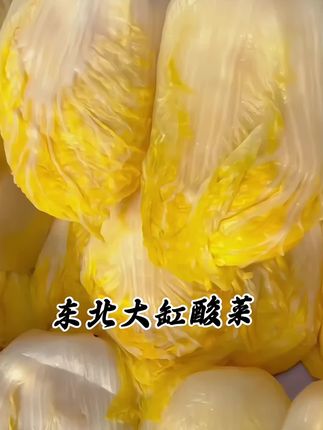 东北大缸酸菜,嘎嘎好吃#下饭菜 #今天吃什么 #下饭神器 #东北酸菜大骨头 #酸菜饺子