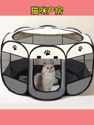 #猫咪产房 猫咪产房母猫专用猫生产用品全套待产包帐篷产窝封闭式宠物接生狗 #宠物产房#猫咪待产包 #封闭式猫咪产房 #猫咪产房窝