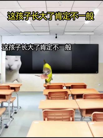 这孩子长大了肯定不一般#我的刀盾 #小猫meme #创作者中心 #创作灵感