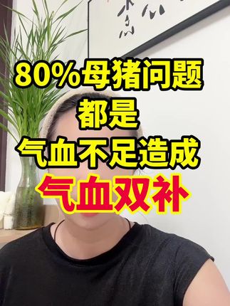 #母猪补气血