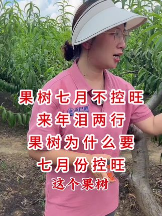#果树控旺#控梢促花 #控梢保果#果树种植 #抖音助农 @DOU+小助手