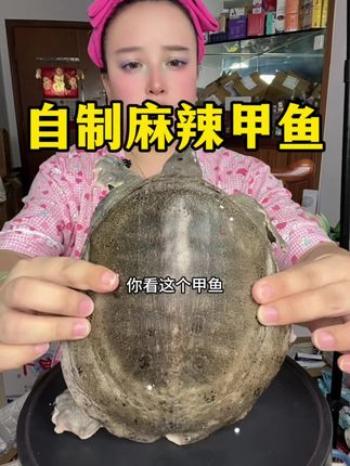 自制麻辣甲鱼 #自制麻辣甲鱼