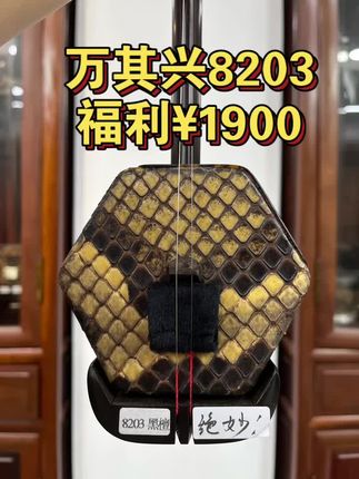 万其兴二胡8203黑檀专业演奏琴 王钟林老师精选喜欢单独联系王钟林老师哦#二胡演奏 #民族乐器