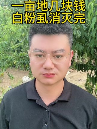 一亩地几块钱,白粉虱消灭完 #三农 #蔬菜虫害防治#抖音新农人 #三农服务 #三农种植