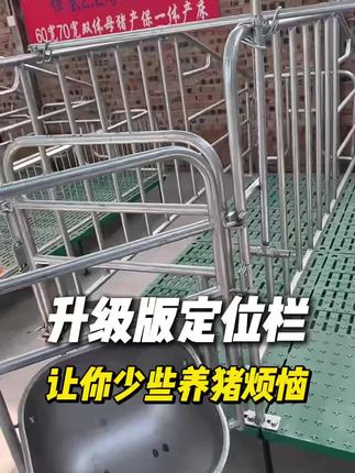 升级版定位栏采用友发管材,更加结实耐用,为您解决养猪烦恼#养猪人 #母猪定位栏 #养猪设备 #养猪设备一站式采购 @不离不弃🎎 @夜不夜 @向哥装修工XHQ @开 @用户7748347451086 @九零后在家养猪单身一个 @养猪人-宇弟 @90后养猪小伙 @@…杰 @范广丽 @用户671803220711羊羊 @任我(ˆ⌣ˆ)逍遙→v←(●'◡'●) @用户爱多恨少 @克明 @水中望月