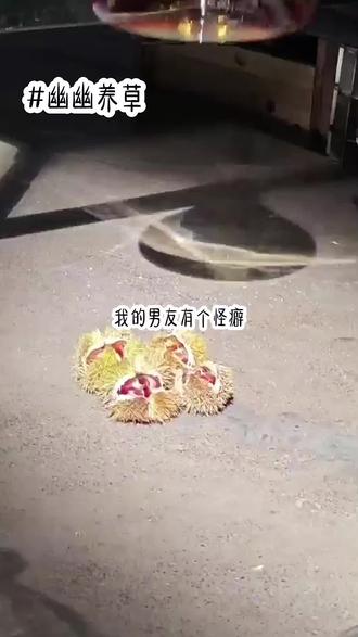 【幽幽养草】 #知乎