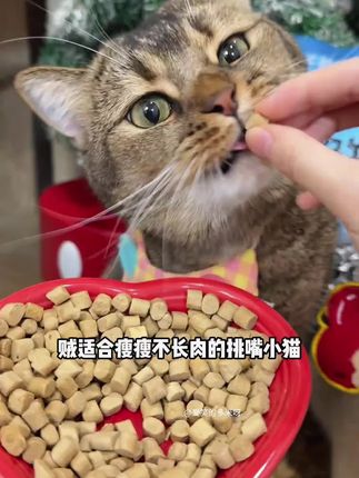 平时舍不得买的爱立方小鲜焙,可算让我等到活动啦!#爱立方小鲜焙 #爱立方 #小鲜焙mini冻干 #猫粮推荐