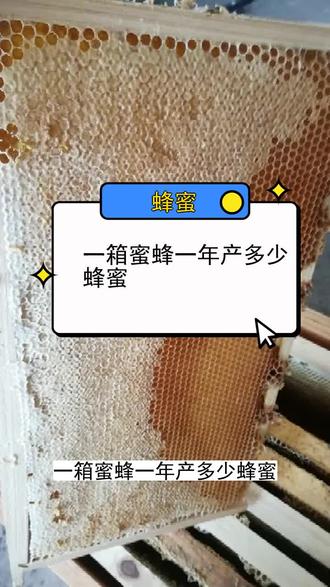一箱蜜蜂一年产多少蜂蜜 #三农种植 #农业种植技术 #种植小技巧 #种植方法