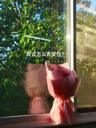 于是我的心,便开满了野花 #原创作品 #现代诗#纪念