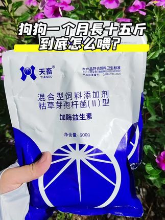 狗狗#养殖人 #养殖人加油 #强烈推荐 #养殖户 #家禽养殖