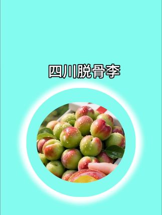 四川脱骨李,现摘现发#脱骨李子