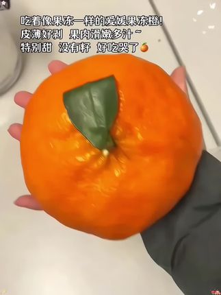 果肉像果冻一样细嫩的爱媛果冻橙🍊!皮薄如纸,清甜多汁还没有籽!直接吸着吃 😋果味浓郁,甜而不腻,让人一口沦陷!#爱媛果冻橙 #橙子#口感特别好 #新鲜采摘#在抖音入手的好东西