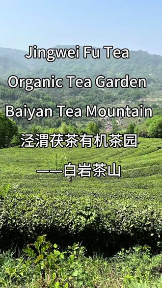 泾渭茯茶有机茶园基地白岩茶山
位于陕西省汉中市西乡县峡口镇
山脚下是牧马河
茶园从河畔一直往山上分布种植
在海拔约800米的半山腰处
是白岩茶业公司的加工车间
清洁常房内使用机械设备进行精制茶加工
杀青、揉捻、炒茶、干燥全自动产线
整个茶山从700米到海拔1500米左右
现有茶园种植面积四千多亩
既有良种扦插育苗的茶树品种
也有当地“菜茶”群落种茶树
茶山整体通过雨林联盟认证
这意味着泾渭茯茶从种植到市场流通整个生产过程的环保及可持续发展得到国际认可
雨林认证是国际森林认证体系最大和最权威的专业认证机构
获得雨林认证既是对产品品质高标准化的肯定
更是对泾渭茯茶在生态环境等多方面可持续发展的国际认可
泾渭茯茶优质原料种植基地是泾渭茯茶带动产业良性发展,树立行业示范的标杆实例
丰富的群落种茶树
也不同于单一品种的茶园
这里植被、鸟类、昆虫生态均衡
种植管理不使用杀虫剂、不使用除草剂
采用生物复合肥和人工除草,保障鲜叶食品安全
同时,泾渭茯茶有机茶园基地白岩茶山还是中国海关出口食品认证基地,保障泾渭茯茶产品走向国际市场
#白岩茶业#西乡#泾渭茯茶#汉中仙毫
#创作者中心