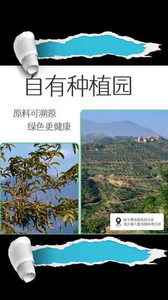 酸角糕 猫哆哩年货零食酸角糕1000g果糕礼盒囤货云南特产伴手礼零食解馋#零食测评 #美食 #云南特产 #网红零食 #零食时光