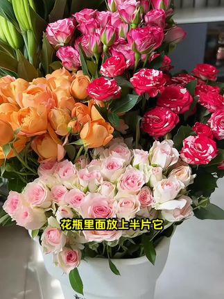 不会还有人不知道养花用泡腾片吧!让鲜花保持10-15天!养花必备,又便宜又好用,9块9一瓶有100片!#鲜花泡腾片推荐 #鲜花泡腾片 #鲜花保鲜 #插花技巧 #花瓶插花教程