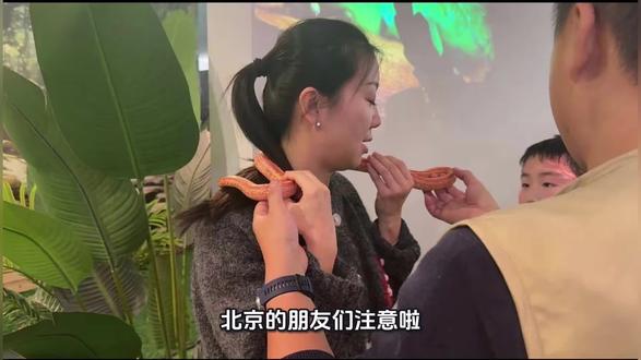 开在金隅嘉品MALL里,除了鳄鱼,大部分温顺的爬行动物都可以在工作人员指导下亲手触摸和喂食,非常适合想让孩子近距离接触动物的家庭,商场里的“爬宠乐园”,互动体验满分,遛娃逛街两不误。
#爬行馆 #东坝 #爬虫乐园 #东坝金隅嘉品 #互动体验馆