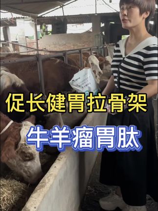 促长健胃拉骨架吸收好,采食量上涨认准牛羊瘤胃肽,#三农 #乡村守护人 #抖音助农