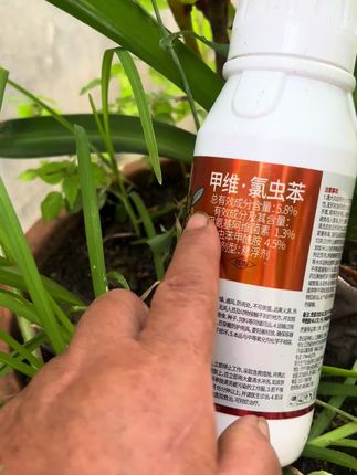 #农业种植 #病虫害防治 #甲维氯虫苯 #可能杂出剂#刹虫治虫