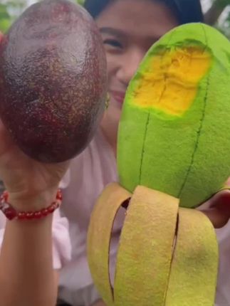 #哈斯牛油果 #口感特别好 #快来一起尝个鲜 #新鲜采摘 #牛油果