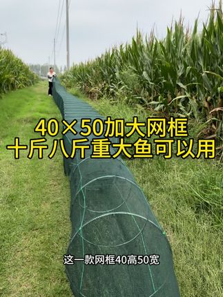 #虾笼 #养殖网#逮鱼摸虾#农村生活 #我的乡村生活