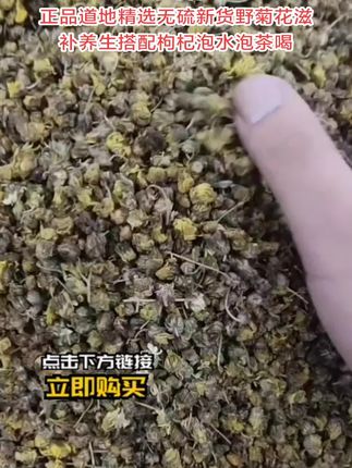 野菊花正品道地精选无硫新货野菊花滋补养生搭配枸杞泡水泡茶喝