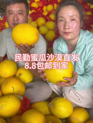 民勤蜜瓜8.8沙漠直发#优质农产品 #原产地 #现摘水果 #创作者中心 #创作灵感