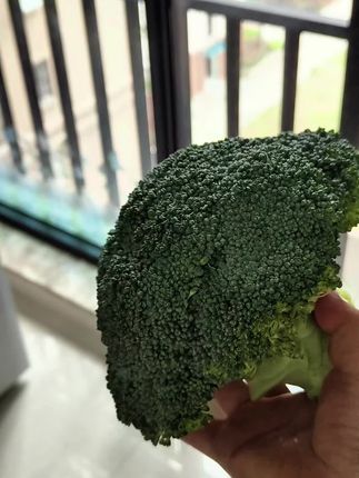 咱这个农家新鲜新摘的西兰花菜,好新鲜的,都是菜农自家种植的,每个都好新鲜的,用来凉拌,热炒,炒腊肉,炒三层肉,炒辣椒,炒蒜苗,美味可口,营养丰富。其实多吃点蔬菜挺好的,喜欢的可以安排哦#西兰花菜