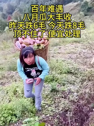 #超便宜超划算 #原产地#优质农产品 #新鲜应季水果#八月瓜