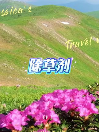 #除草剂 #除草剂推荐 #除草神器