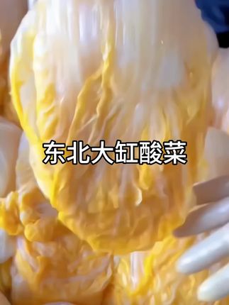 东北大缸酸菜,嘎嘎好吃#下饭菜 #今天吃什么 #下饭神器 #东北酸菜大骨头 #酸菜饺子
