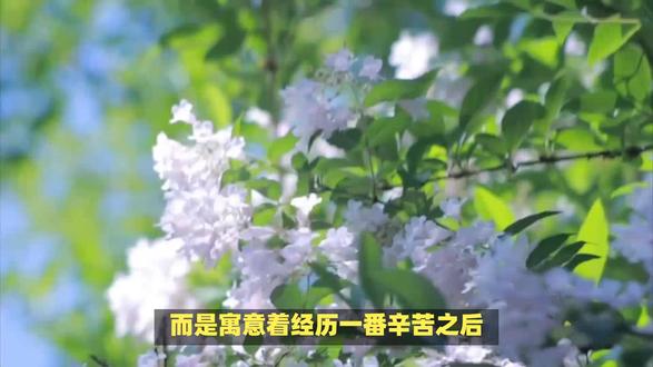 苦尽甘来春暖花开,指什么生肖? #内容启发搜索