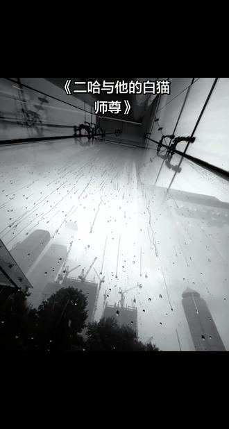 #二哈与他的白猫师尊 #墨燃#楚晚宁 长阶血未尽,那是他带你回家的路