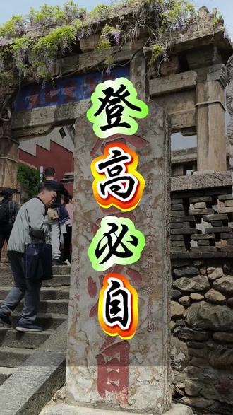 登高必自卑,行远必自迩#泰山 #V观泰安 #寻美山东