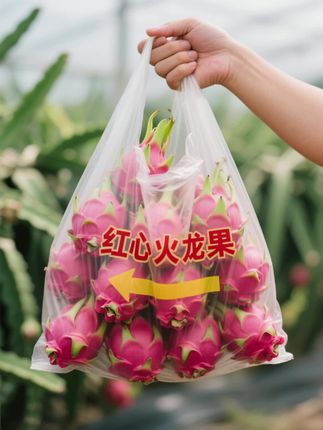 果园直采的新鲜火龙果,带着清晨的露珠与热带的蓬勃朝气。玫红外皮张扬热烈,轻轻剥开,内里紫红果肉鲜嫩多汁,密密麻麻的小黑籽藏于其中。咬上一口,清甜在舌尖迸发,冰爽在喉间漫延,每一口都是大自然馈赠的鲜活美味。 谁懂这一口的好吃程度 #火龙果#红心火龙果#水果#新鲜应季#果园