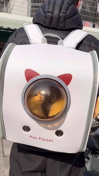 大容量猫包双肩包
#带猫回家过年 #猫包双肩包