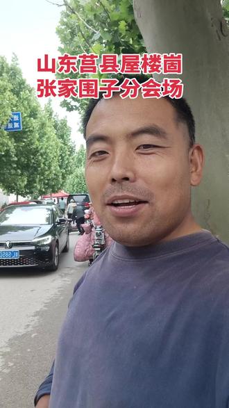 山会人山人海 #山会#屋楼崮#四月八