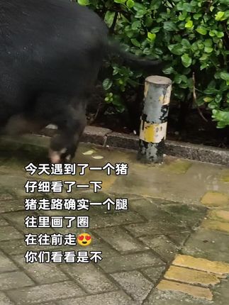 眼下这一刻,此生不会再有第二次